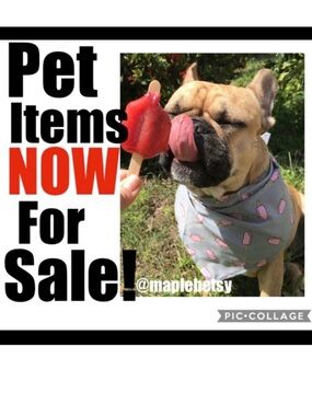 Check out the new items I added to my pet section! Toys & bandanas!